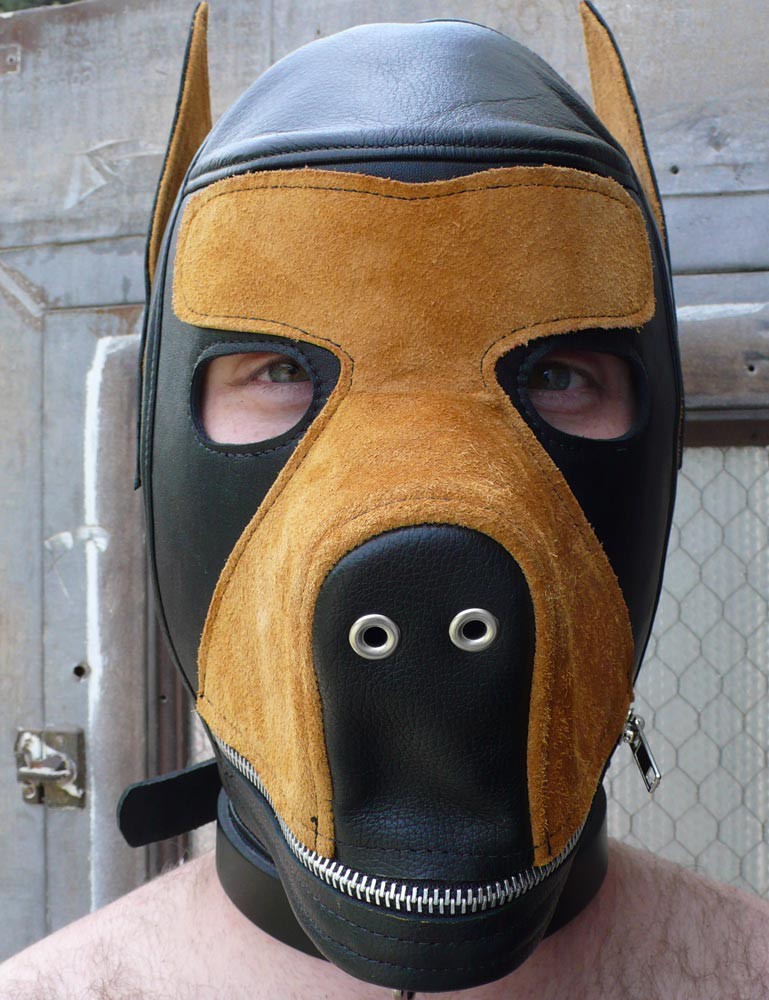 dog hood